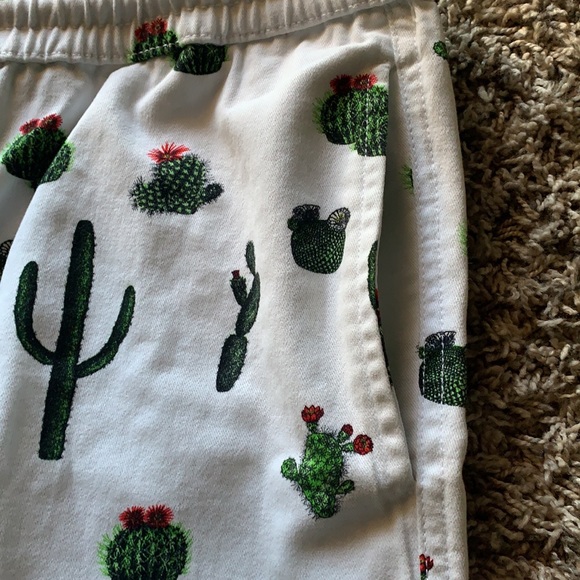 NWT Zipcode shorts - Picture 6 of 9